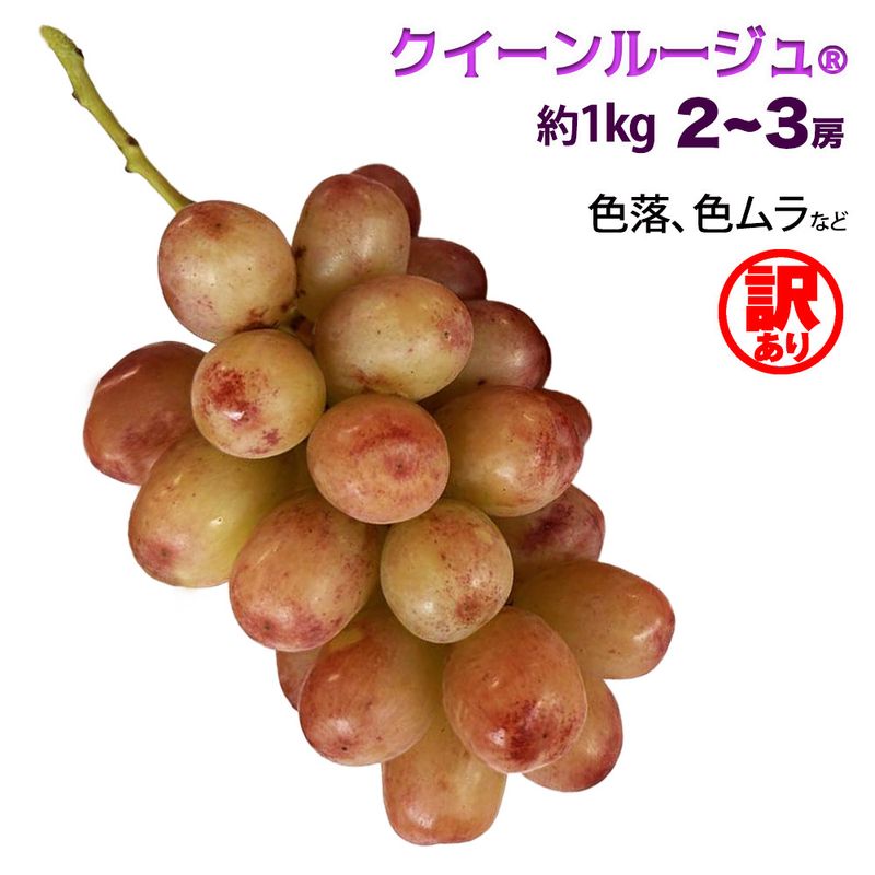 クイーンルージュ(R) 【訳あり】 約1kg 2~3房 新品種のお試し価格