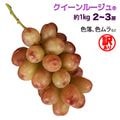 クイーンルージュ(R) 【訳あり】 約1kg 2~3房 新品種のお試し価格！ 送料無料