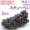 スチューベン 訳あり 2kg ご家庭用