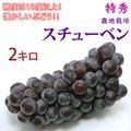 スチューベン 特秀 2kg 贈答品 ギフトに！