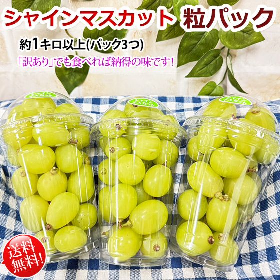 シャインマスカット 粒パック 訳あり 約1キロ以上(3パック) 送料無料