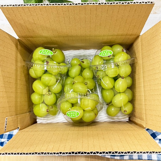 シャインマスカット 粒パック 訳あり 約1キロ以上(3パック) 送料無料