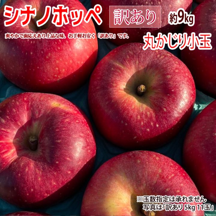 ���ʥΥۥå� ������ �ݤ����꾮�̥����� ��9kg Ĺ��� �Ť��̽�����������ä��� ���������� �֤䤫�ʥ�� ����̵��