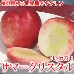 ���ޡ����ꥹ���� £����5kg Ĺ��鿷�ʼ� �������ȥͥ������ 7����ܳ���ͽ��