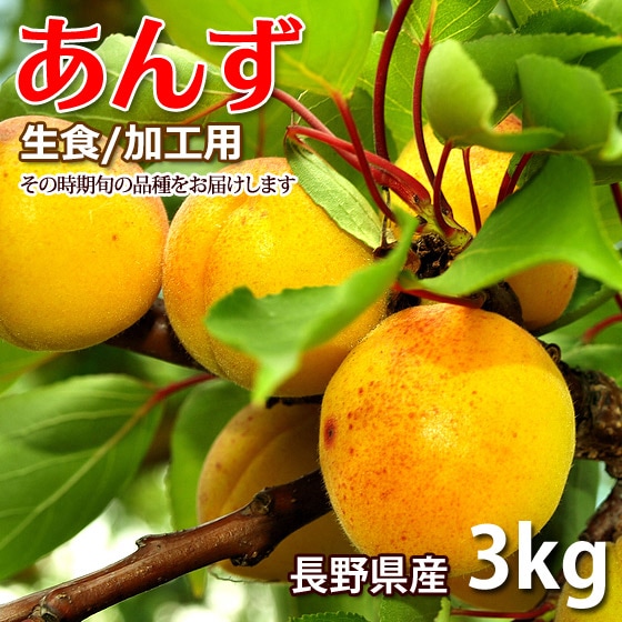 �ܤΤ��� 3kg ����/�ù��� ���� Ĺ��� �����ܳ���ͽ��