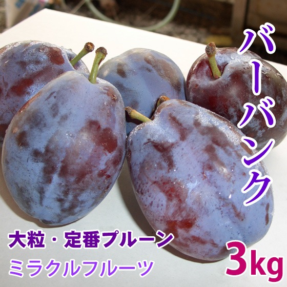 �С��Х� �ץ롼�� 3kg 25-30�� ������ 8����ܳ���ͽ��