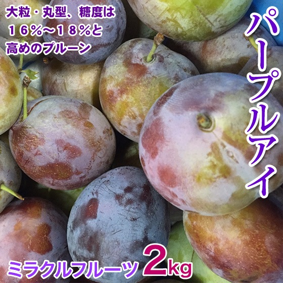 �ץ롼�� �ѡ��ץ륢�� 2kg 16-20�� 8����ܳ���ͽ��