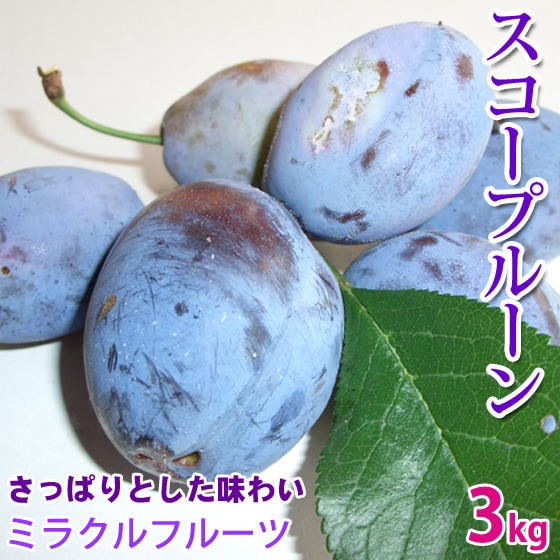 �������ץ롼�� 3kg ��50-60�� ������ �����ߤ�Ŭ�Ϥ��Ƥ������夬�꤯������ 8���沼�ܳ���ͽ��