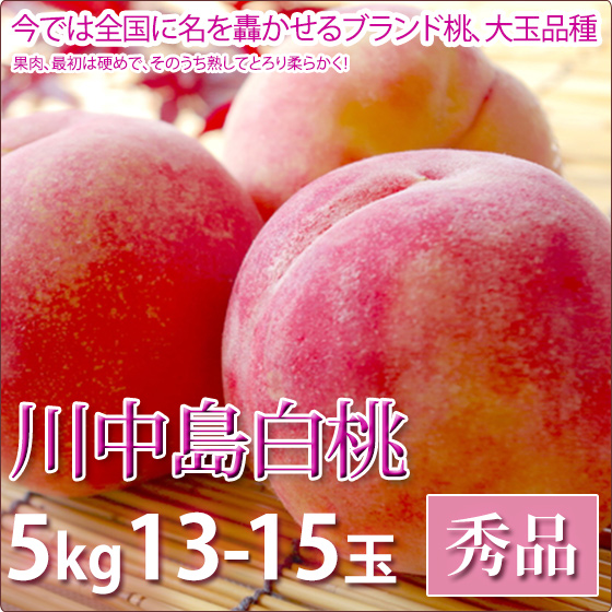 ���������� �� ���渵 �ե롼�� ���� 5kg 13-15������