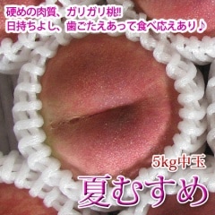 �Ƥह�� 5kg��� ���ꥬ���� �Ť��������ߤ����˺�Ŭ�Ǥ�