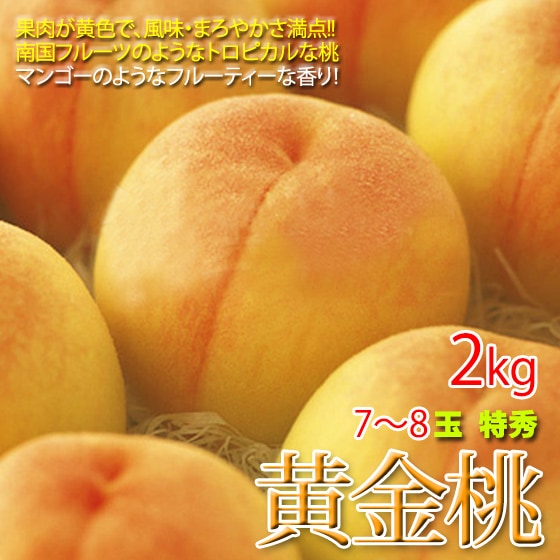  渵  2kg 7-8  ޥ󥴡Τ褦ʴŤꡪ