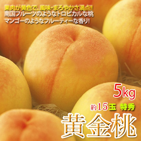 ������ ���渵  5kg ��15�� ������ �ޥ󥴡��Τ褦�ʴŤ���ꡪ