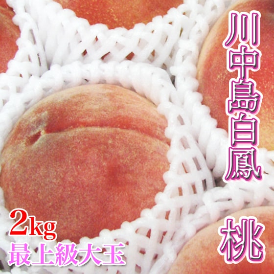 ��������˱ �Ǿ���� ��2kg 6�� �Ť��������繥ɾ�� ��