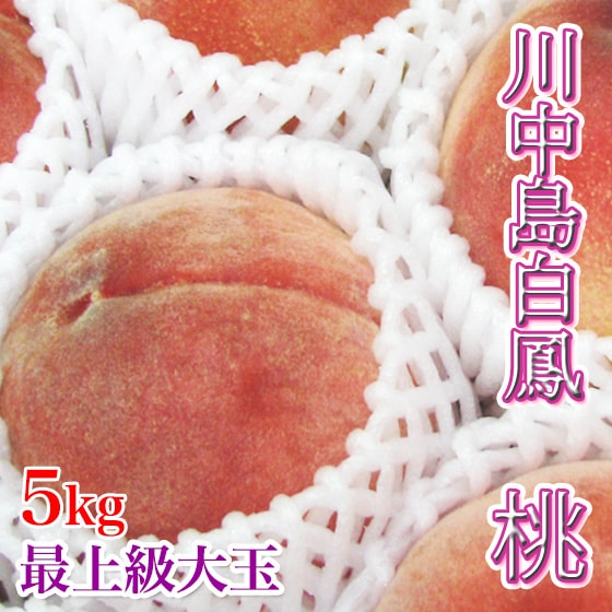 川中島白鳳 最上級品 5kg 12-13玉大玉
