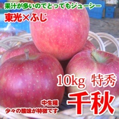 ��2010��ͽ��ۡ��齩��10kg �ý��������󣱣������١�̪��̵ͭ�� ������Τ�󤴤���Ǵ�̣����̣��Ĵ�¤�