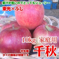 ��2010��ͽ��ۡ��齩�������ѡ�10kg�������󣱣������١�̪��̵ͭ�� ������Τ�󤴤���Ǵ�̣����̣��Ĵ