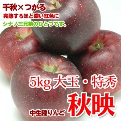 ��󤴽��� 5kg �ý� Ŭ�٤ʻ�̣�ȴŤߤΥХ�󥹤��褯���������ɹ�