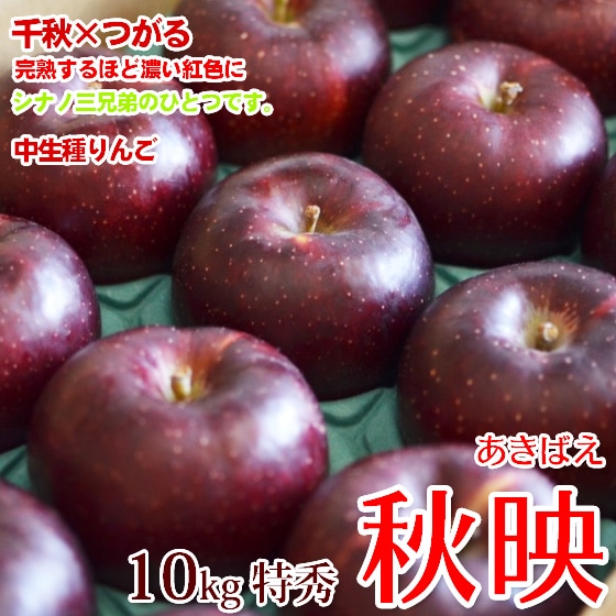 ���Ǥ�� 10kg �ý� ��̣�ۤɤ褤 ��£���Ѥˤ��Ŭ