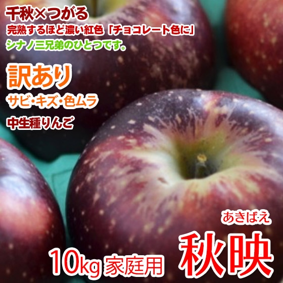 秋映 家庭用 10kg