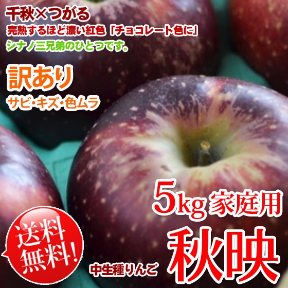 秋映りんご 約5kg 家庭用 送料無料 限定販売