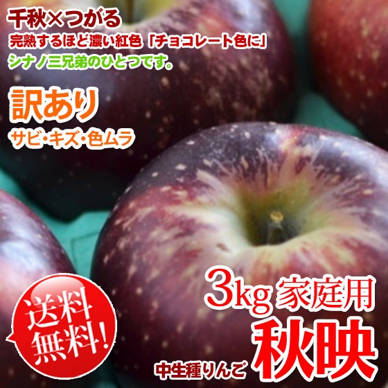 秋映 約3kg 家庭用 送料無料 限定販売