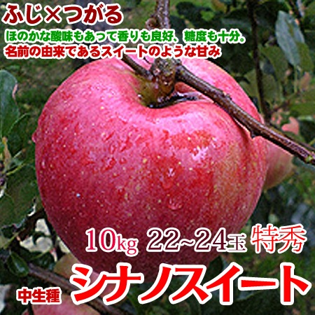 シナノスイート りんご 贈答品にも最適 10kg