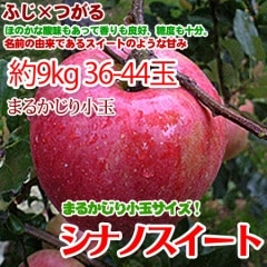 ���ʥΥ������� �ޤ뤫���� ��9kg ���̥����� ����̵�� 36-44�� ������No.1�ե롼��