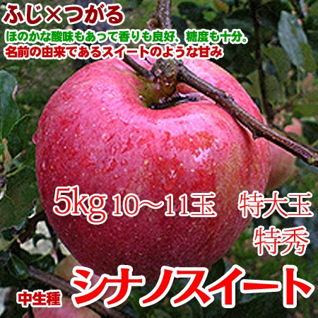 シナノスイート 5kg10～11玉 特大玉 ギフトに！ スイーティー
