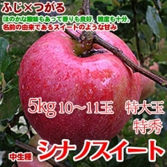 シナノスイート 5kg10~11玉 特大玉 ギフトに! スイーティー シナノスイート 5kg10~11玉 特大玉 ギフトに! スイーティー