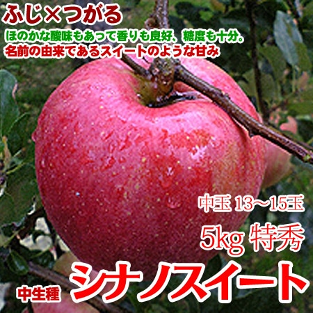シナノスイート 5キロ 中玉 特秀 15～16玉