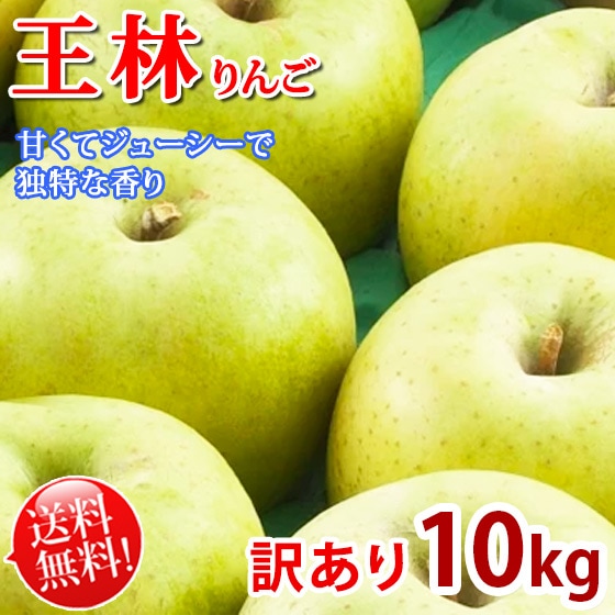 ���Ӥ�� �������� 10kg ������10kg�Ǥ� -11���ܳ���ͽ��- ����̵��