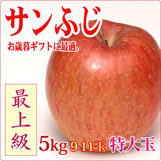 mocomocoページ　サンふじ　特大　農家直送 サンふじ 最上級品 特大 5kg 10玉【お歳暮ギフト】