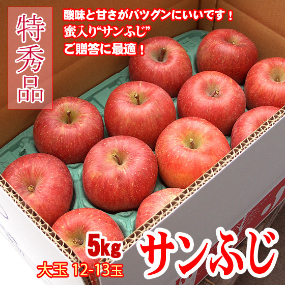 サンふじ 贈答品 大玉 5kg 11～12玉【お歳暮ギフト】