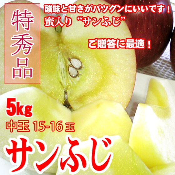 サンふじ 贈答品 中玉 5kg 13～15玉