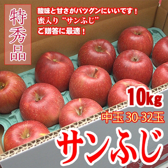 ⭐️サンふじ　産地直接　秀品　贈答用　10K⭐️ 贈答用サンふじ 10kg: L - 信州くだもの村富永農園