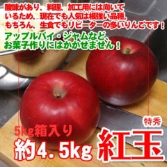 ȶ̤ ý 4.5kg Ǥ⤪ۻҤʤɲùΤˤŬ