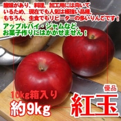 �ȶ̤�� ���� ��9kg �ù��Ѥˤ������ˤ⡪