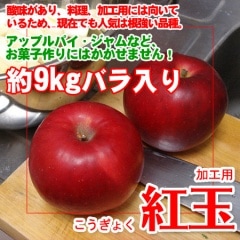 �ȶ̤�� ��������ۡڥ��ӡ���������� ��9kg�ù��ѥХ����ꡡ���ۻҺ�ꡦ�������ˤ��Ŭ�ʤ�󤴤Ǥ��� ����̵��