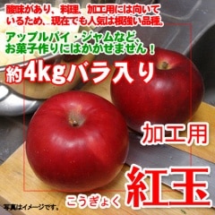 ��������ۡڥ��ӡ���������۹ȶ̤�󤴡���4kg�ù��ѥХ����ꡡ���ۻҺ�ꡦ�������ˤ��Ŭ�ʤ�󤴤Ǥ���