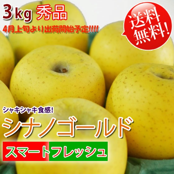 [ޡȥեå] ʥΥ 3kg  ¢ [̵] 4ͽ