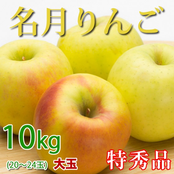 ̾���� 10kg �ý��� 20��24�� �̽���¿������䤫��̣ £����