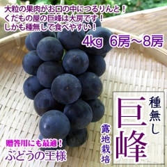 ̵ 4kg 7-11˼ ٤䤹 ֤֤ɤ