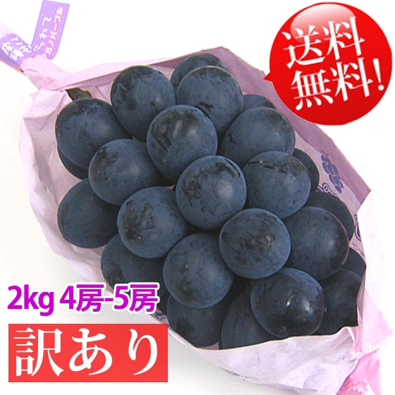 ナガノパープル家庭用 税込送料無料 2kg4-5房 30箱限定品