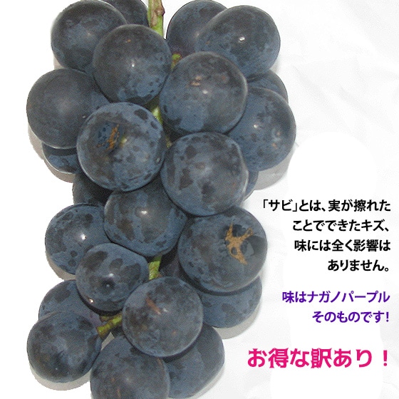 ナガノパープル家庭用 税込送料無料 2kg4-5房 30箱限定品