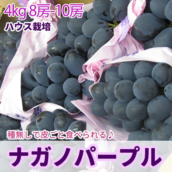 �ʥ��Υѡ��ץ� �ϥ����֤ɤ� 4kg8-10˼ ����̵�� ������ܳ���ͽ��