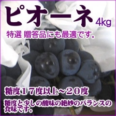 ���֤ɤ�"�ԥ�����"��4kg��£���Ѥˤ��Ŭ������9����ܳ���ͽ���