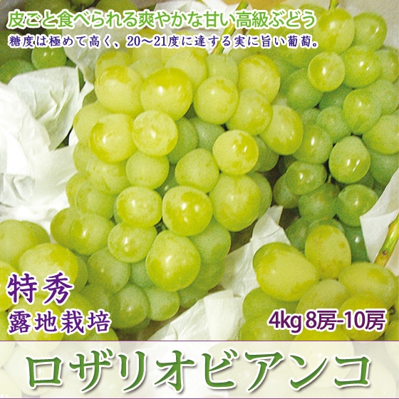 ꥪӥ 4kg 8-10˼ ý ͵֤ɤ