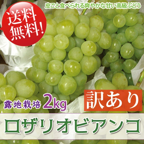 ꥪӥ 2kg  4-5˼  ͵֤ɤ