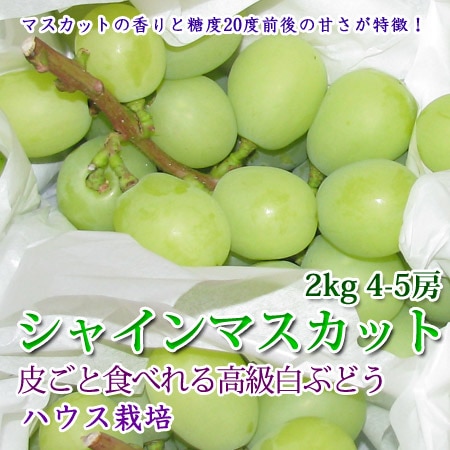 シャインマスカット　10房入 izumi_shine2_0.jpg
