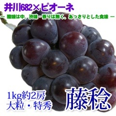 ƣ̭ ��1kg 2˼ �ý� ��γ�Ǥ��ä��ꤷ�Ƥ��ޤ�
